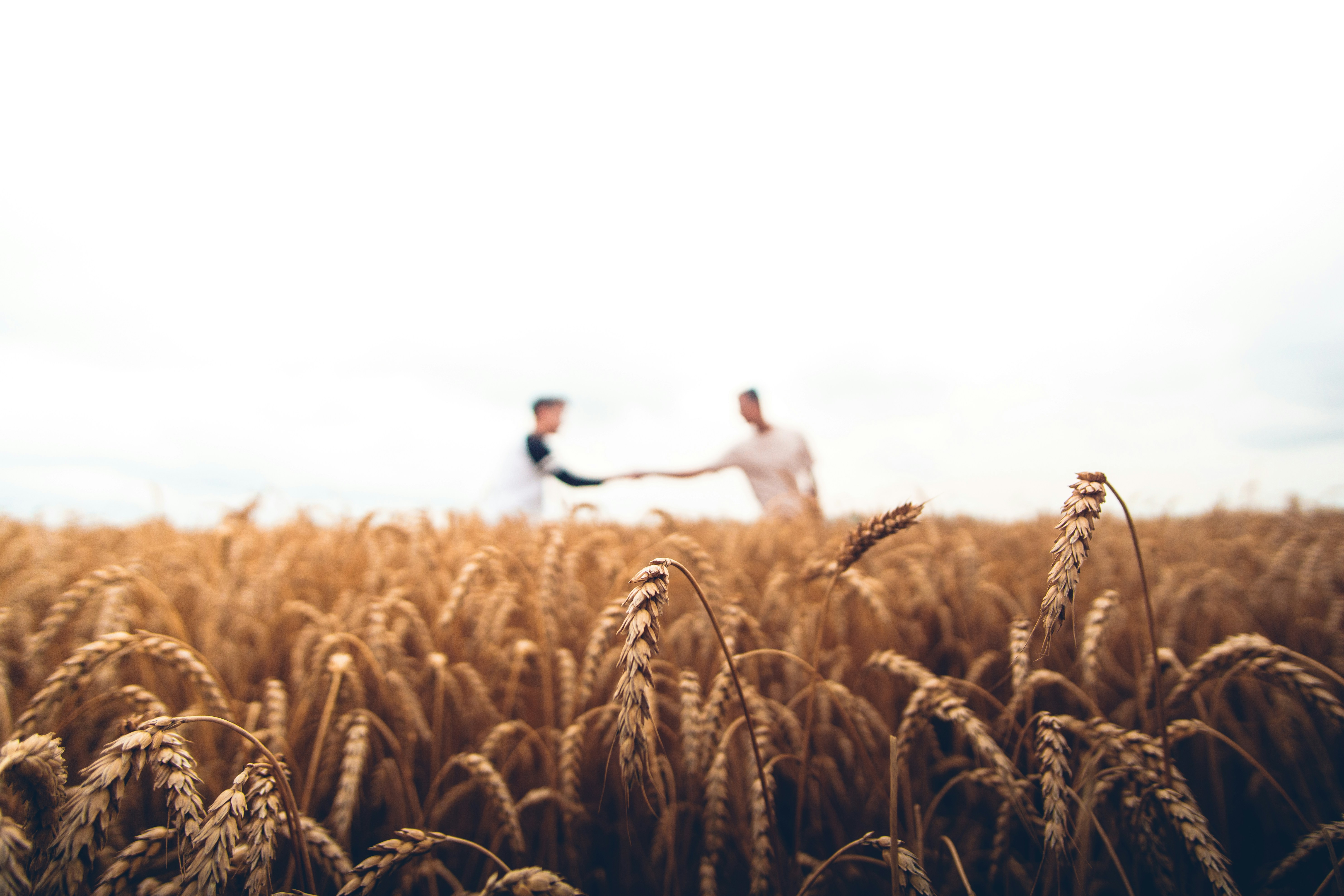 Produtor rural na colheita